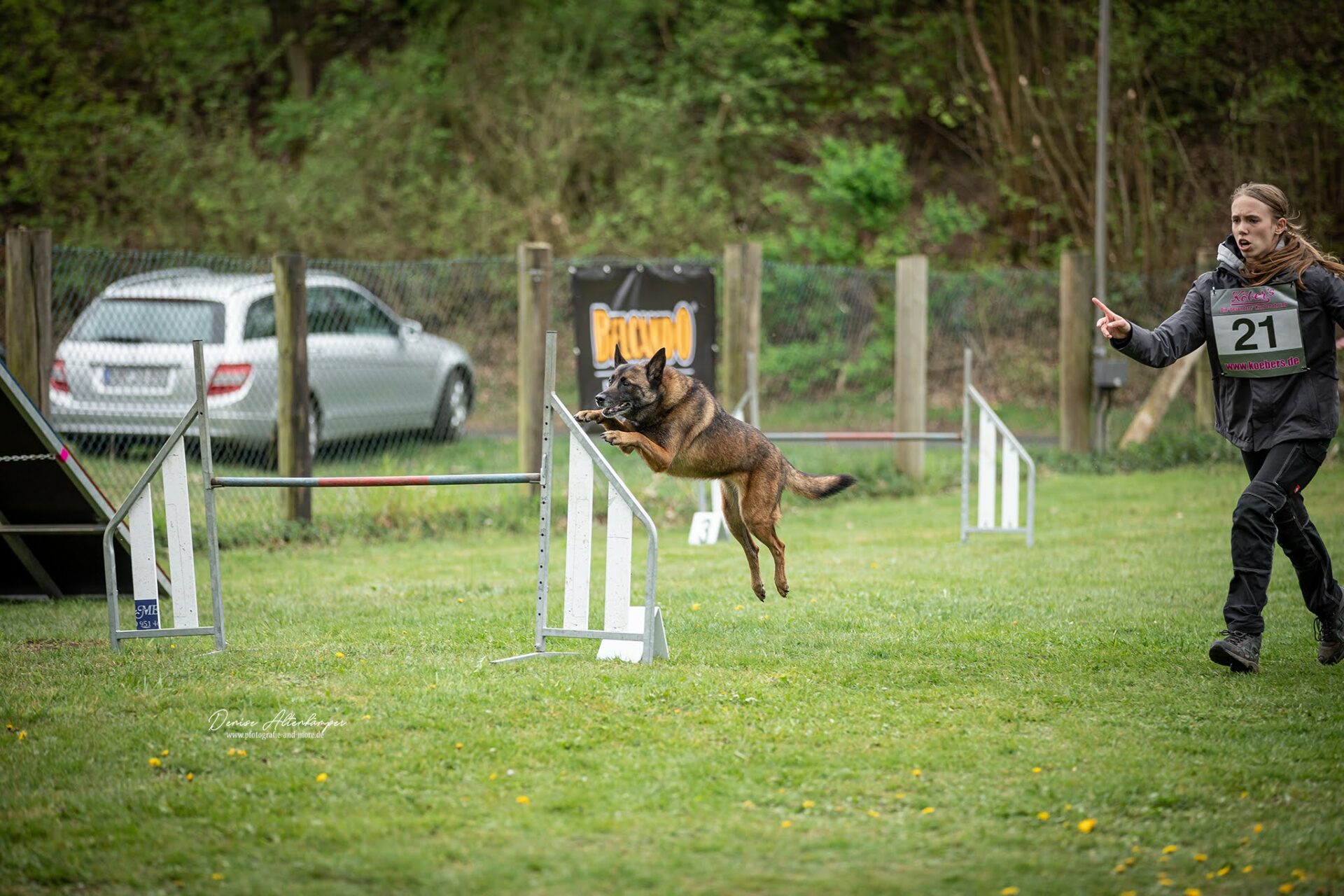 Nach Jahren der Abstinenz konnte die OG Dülmen wieder eine Jugendliche zur WJJM entsenden.Alina, Pepper und ein paar Unterstützer von uns machten sich Sonntag morgen auf den Weg @sv.og.borken wo wir eine hervorragend organisierte Veranstaltung vorfanden bei welcher sich alle sehr wohl fühlten.
Es war nicht nur Alina's erste WJJM sondern generell ihr erstes Turnier.
Wir sind sehr stolz auf Alina die dieses mit einem Fehler im A-Lauf und leider einem Dis.im Jumping beenden konnte.Dies wäre nicht möglich gewesen ohne die volle Unterstützung der Agility Abteilung der @sv.og.gescher1968❤️. Auf viele weitere Turniere Alina 🥳